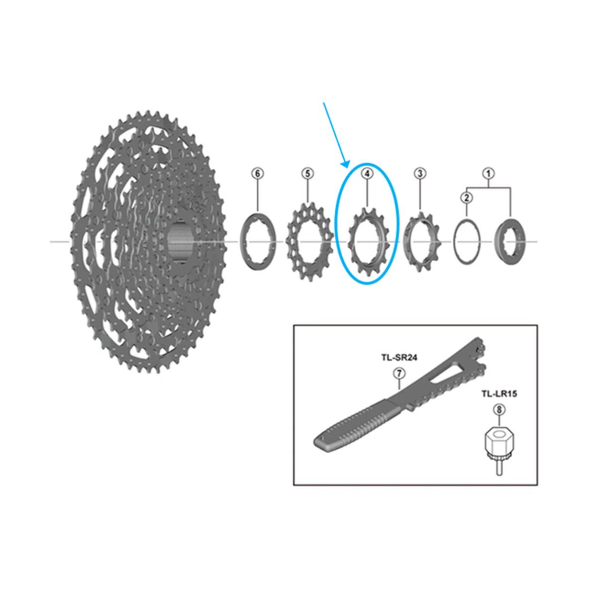 Shimano Zahnkranz Cs-Lg600 13 Zähne Spacer-Typ 1 67_83203_K.PNG?1682664925.JPG