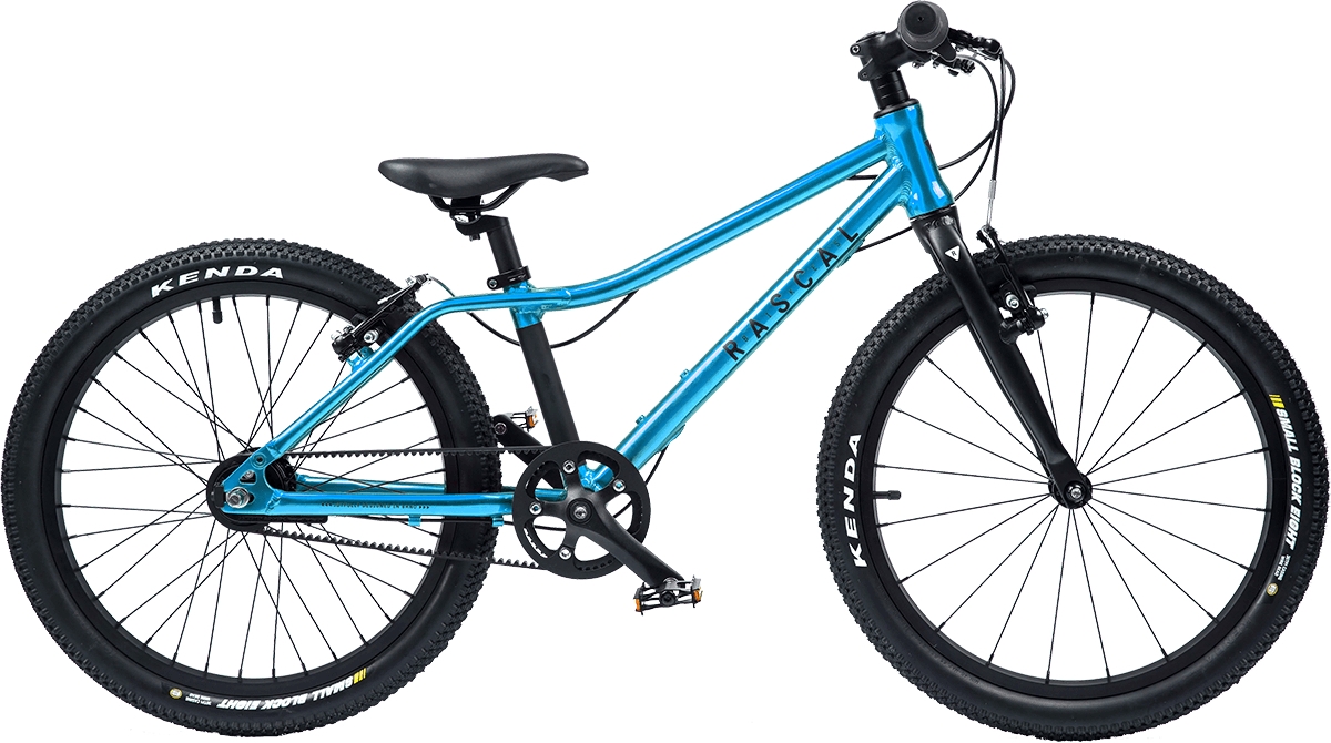 Rascal Bikes Rascal 20 Belt Drive 3-Gang, Aquamarine 20 Zoll 1 76.140.200_0.JPG